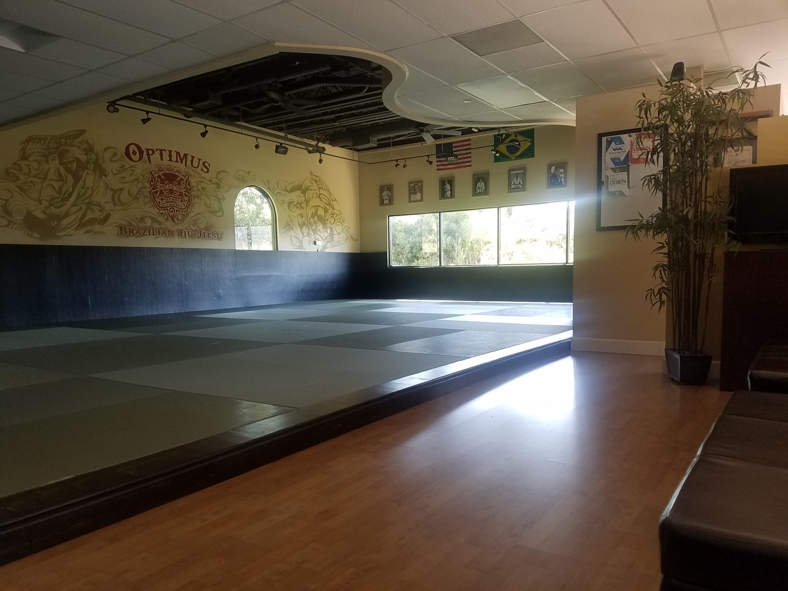 New Deluxe JiuJitsu Flooring And Mats